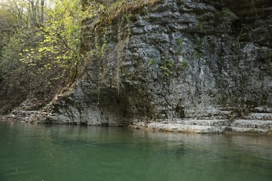 Picturesque view of clean river near cliffs and plants outdoors