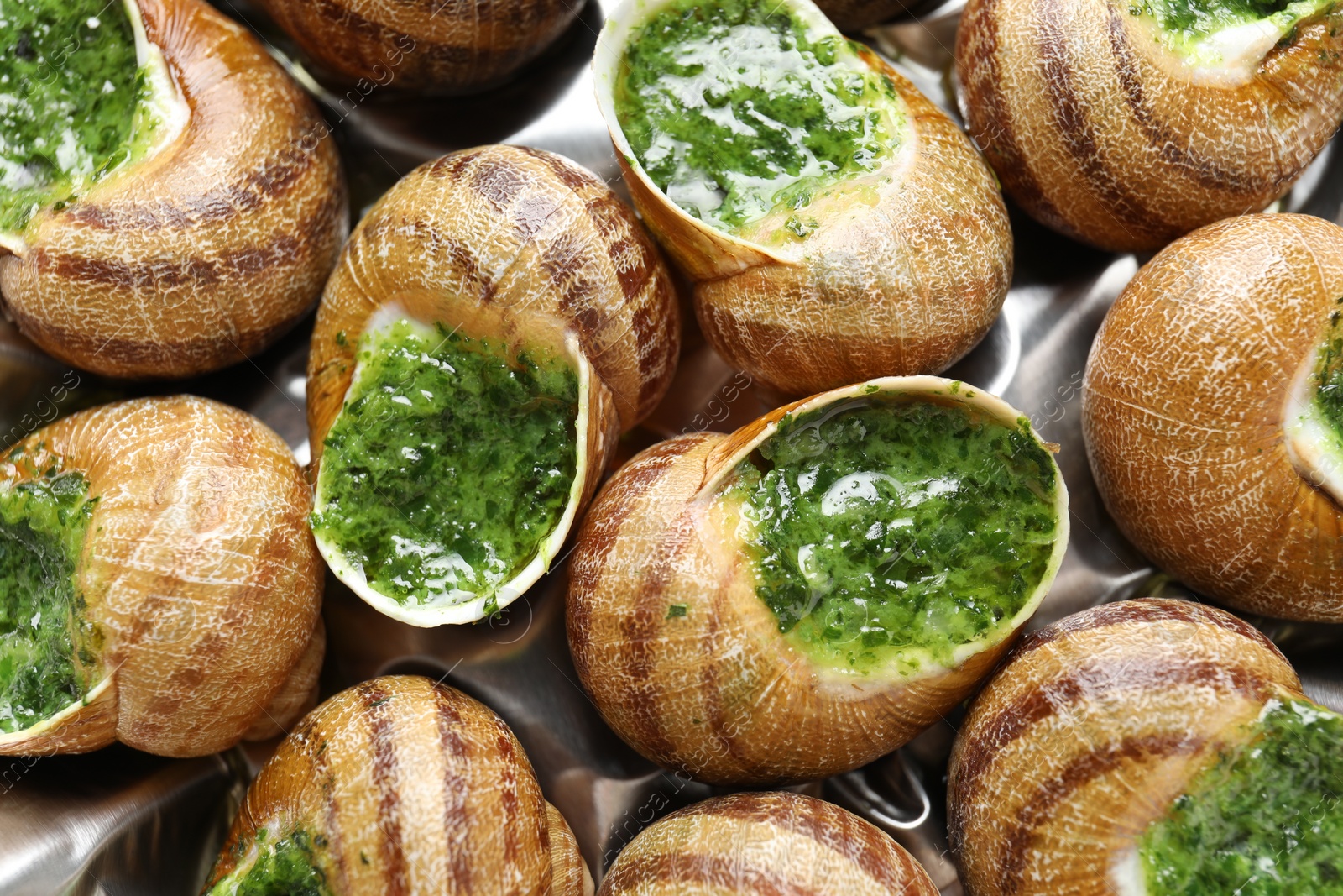 Photo of Delicious cooked snails on table, closeup view