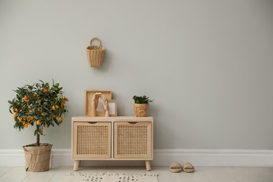 Photo of Stylish room interior with wooden cabinet and potted kumquat tree near grey wall. Space for text