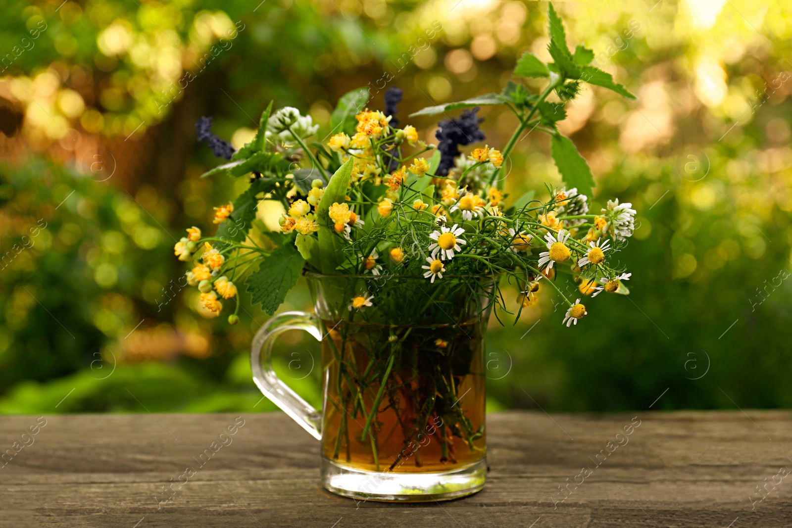 Photo of Composition with different fresh herbs in cup of tea on wooden table outdoors