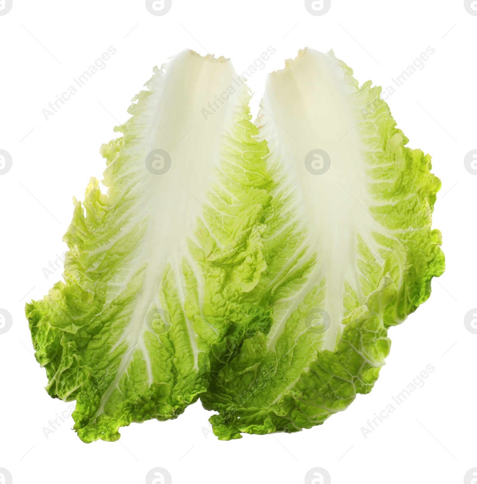 Photo of Leaves of Chinese cabbage on white background