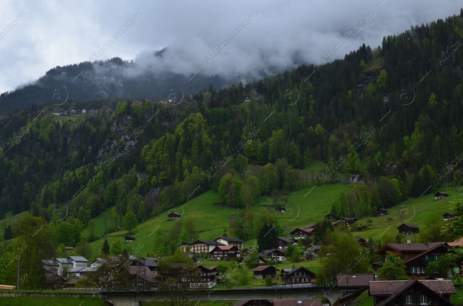 Photo of Picturesque view of village and forest in high mountains