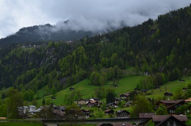 Picturesque view of village and forest in high mountains