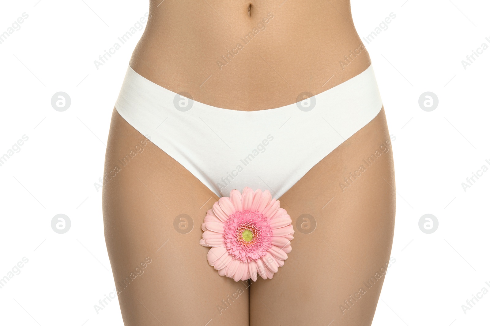 Photo of Gynecology. Woman in underwear with gerbera flower on white background, closeup