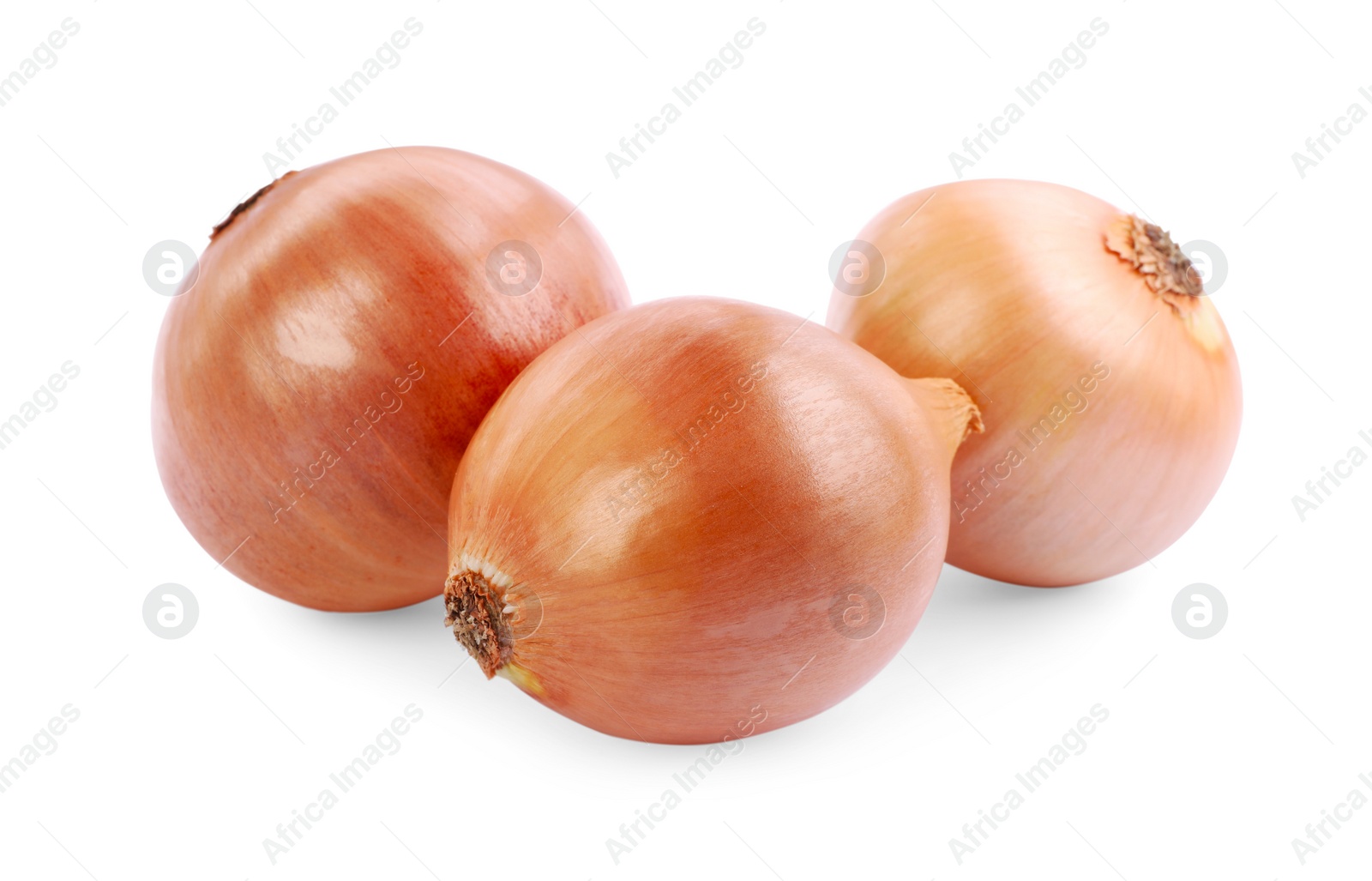 Photo of Yellow tasty fresh onions isolated on white