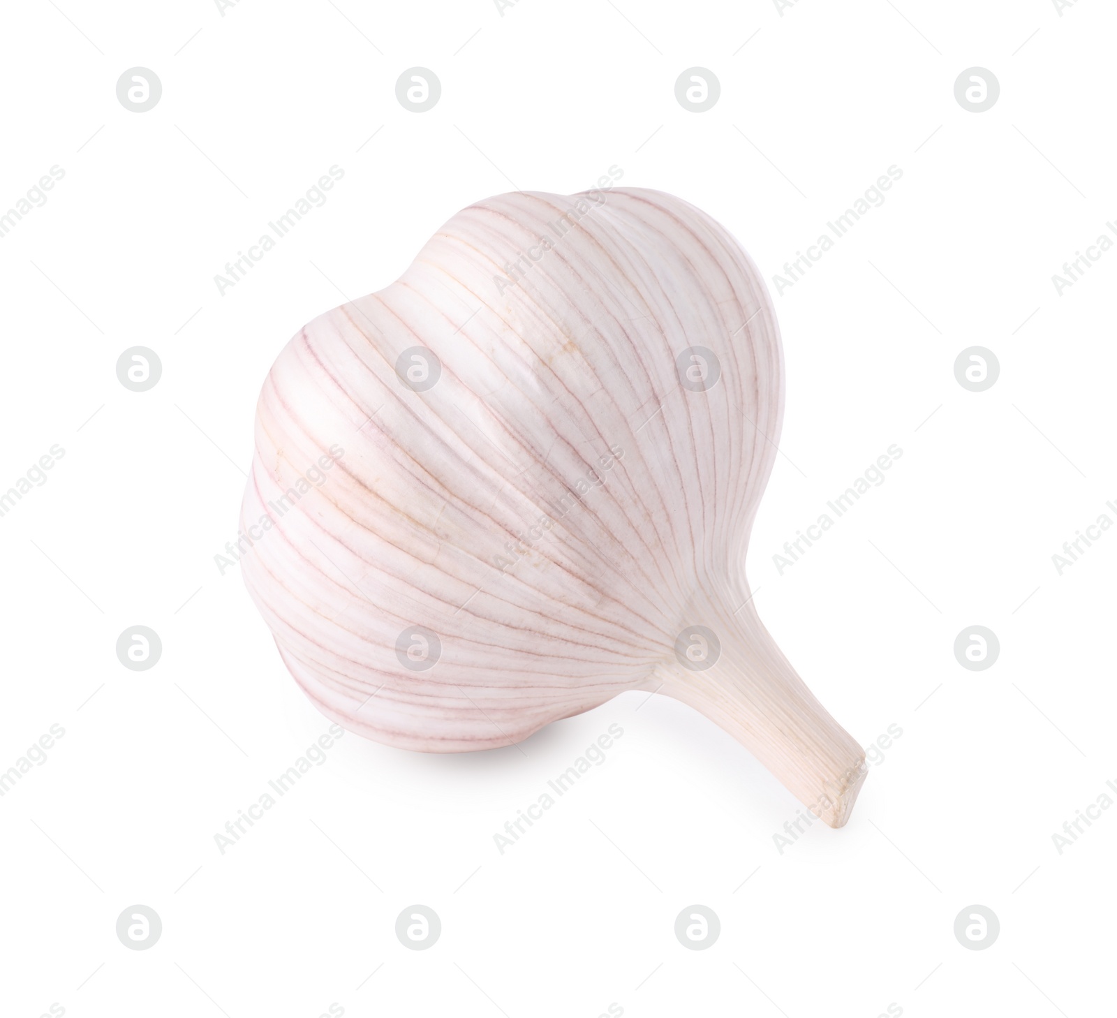 Photo of Head of fresh garlic isolated on white