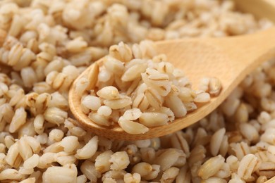 Delicious pearl barley and wooden spoon, closeup