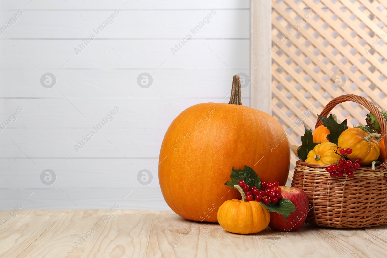 Photo of Happy Thanksgiving day. Composition with pumpkins and berries on wooden table. Space for text