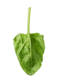 Fresh leaf of spinach isolated on white