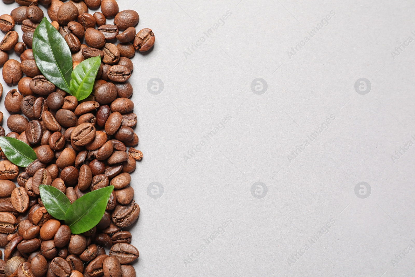 Photo of Fresh green coffee leaves and beans on light background, flat lay. Space for text