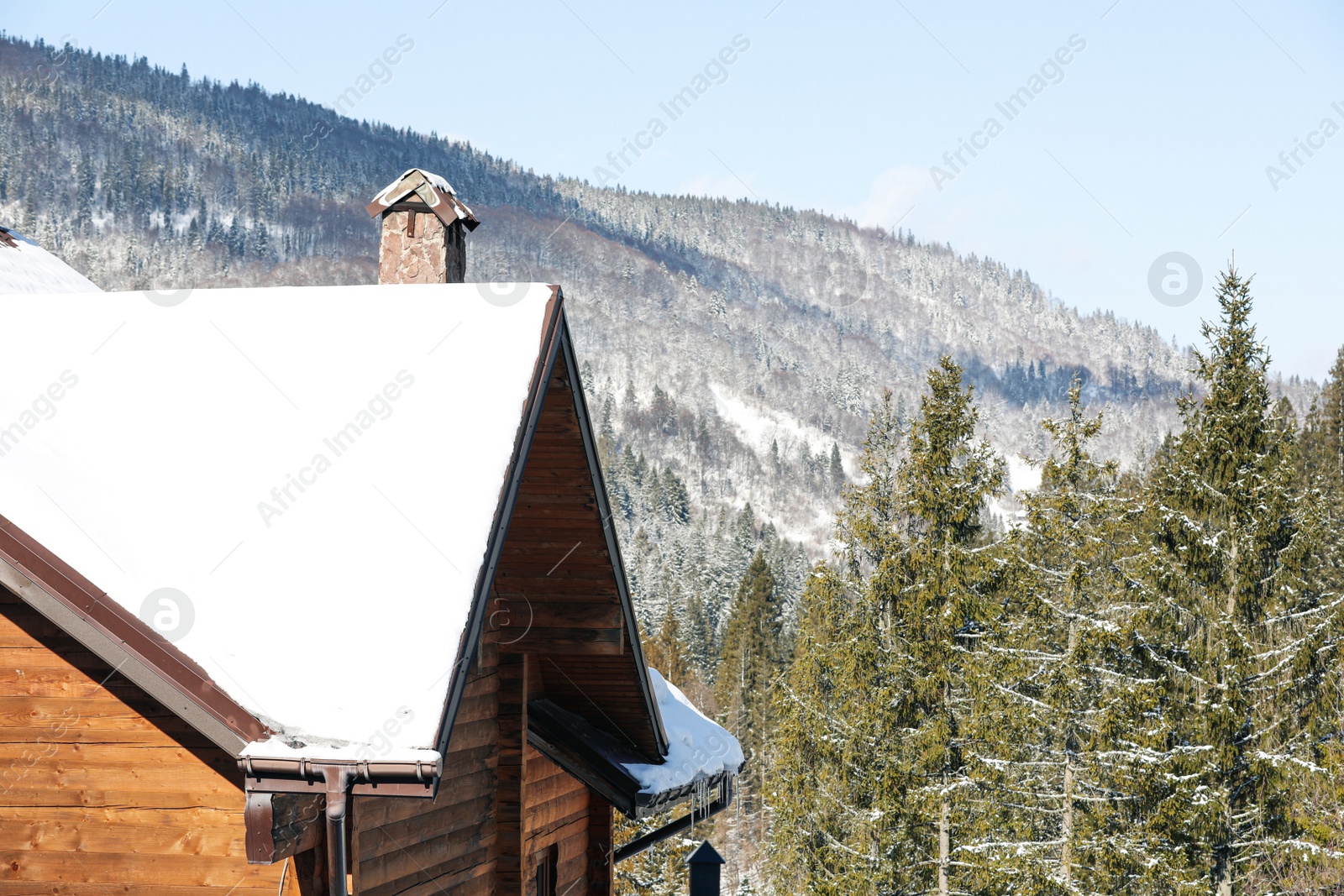 Photo of Wooden cottage covered with snow near conifer forest