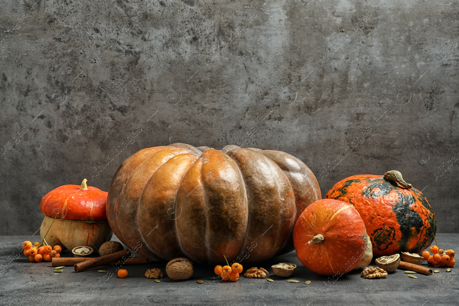 Photo of Different pumpkins on table against gray wall. Autumn holidays