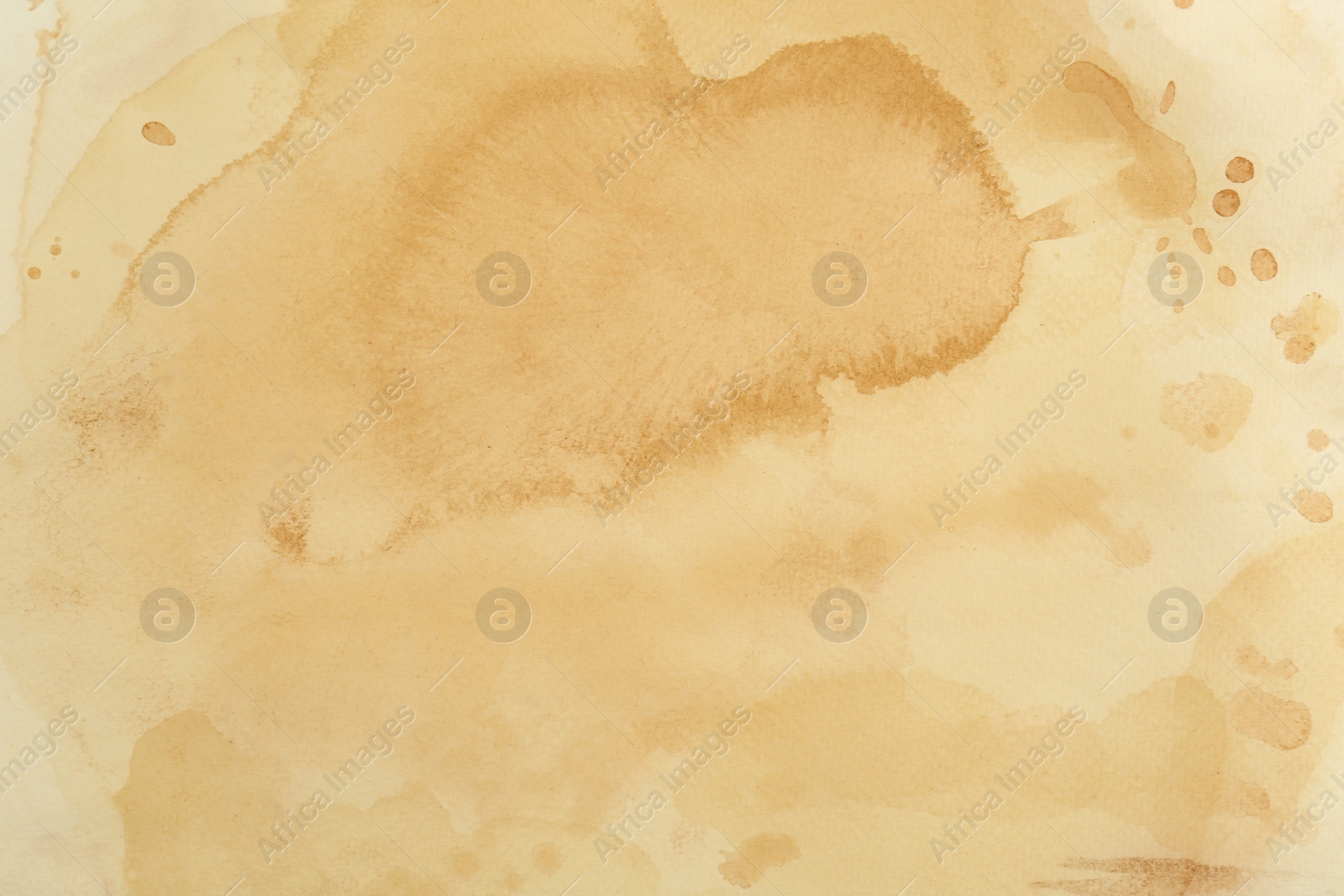 Photo of Sheet of parchment paper as background, top view