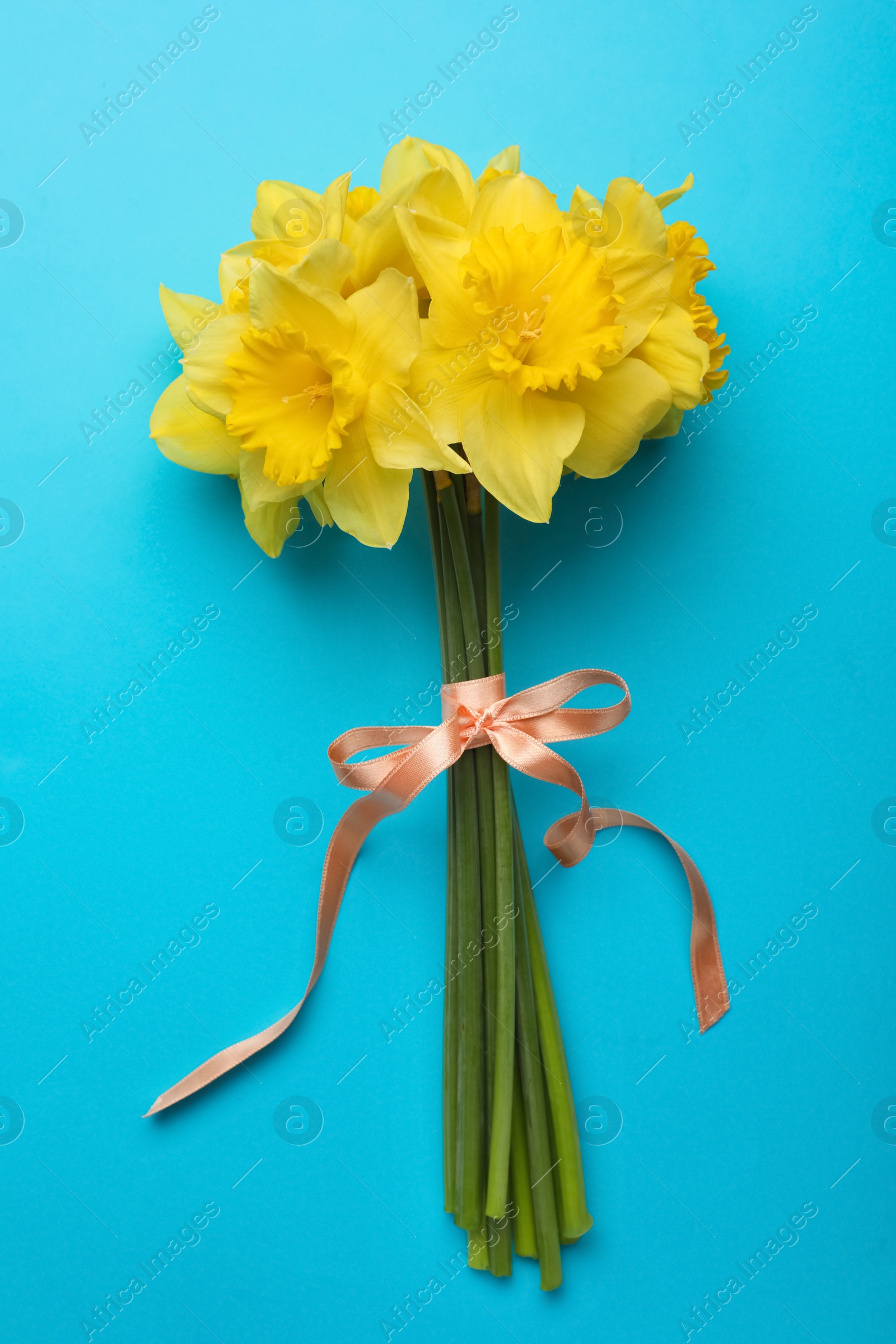 Photo of Beautiful daffodil bouquet on light blue background, top view