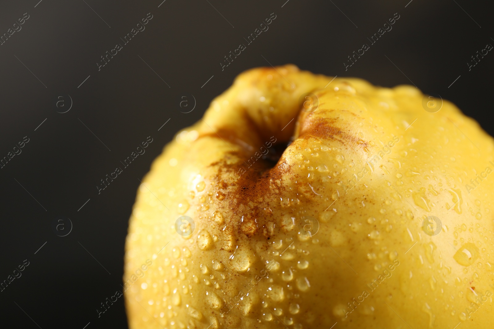 Photo of Tasty ripe quince with water drops on black background, closeup. Space for text