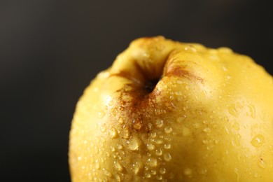 Tasty ripe quince with water drops on black background, closeup. Space for text