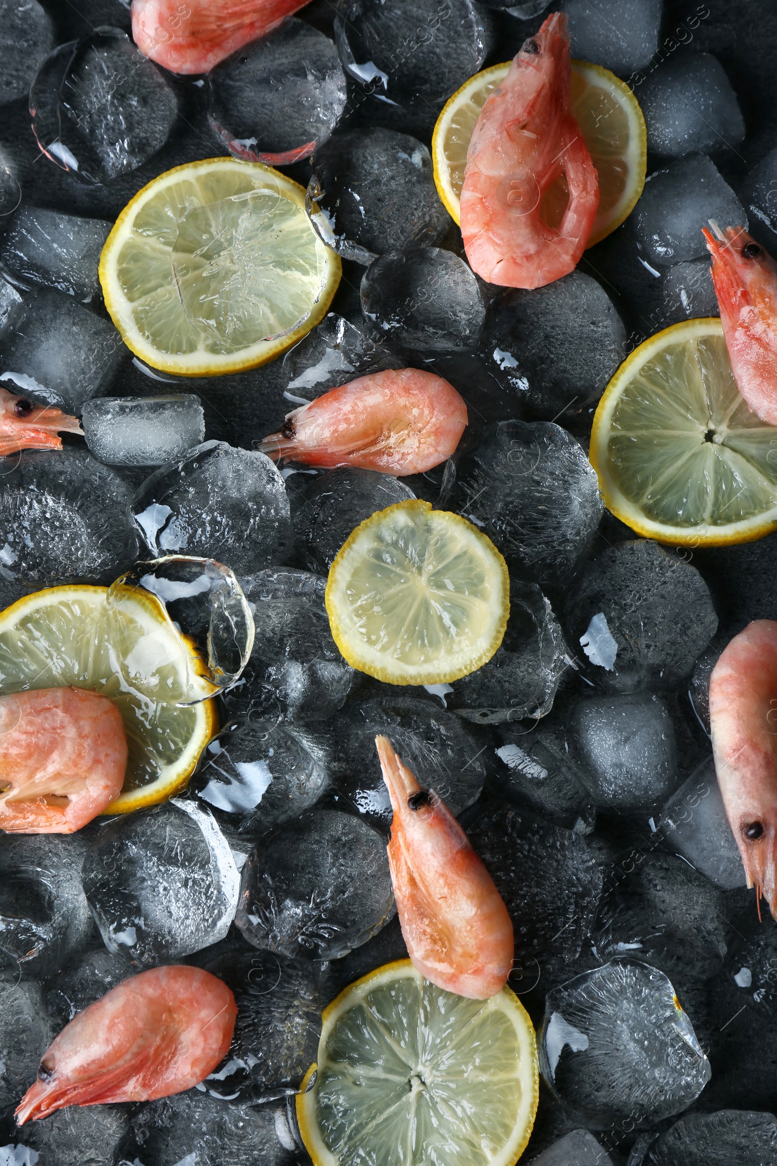 Photo of Flat lay composition with shrimps, lemon slices and ice cubes on dark background