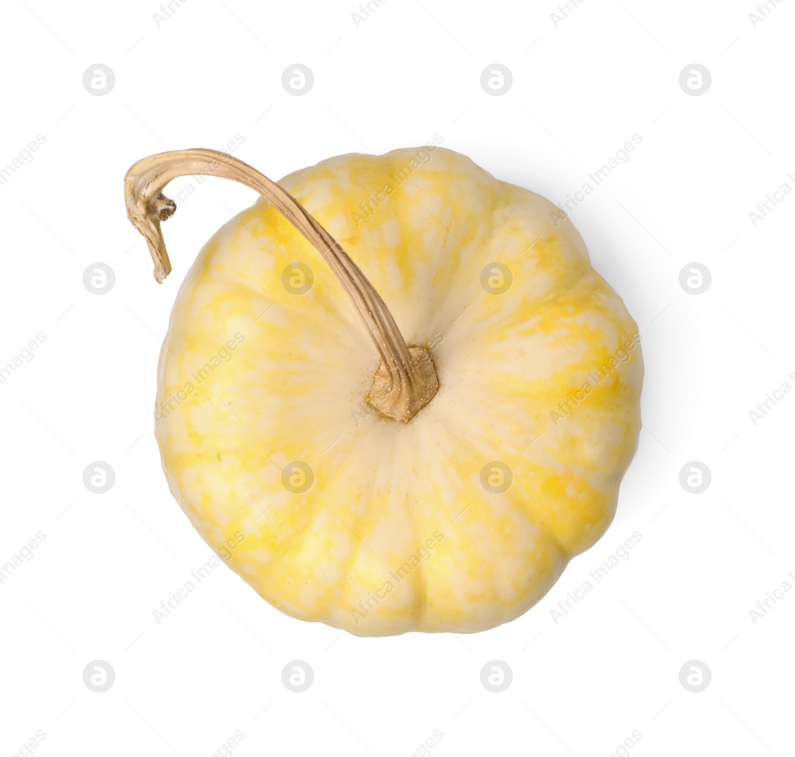 Photo of One fresh ripe pumpkin isolated on white, top view