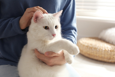 Young woman with her beautiful white cat at home, closeup. Fluffy pet