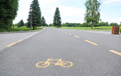 Photo of Bicycle lane with marking on asphalt road in park