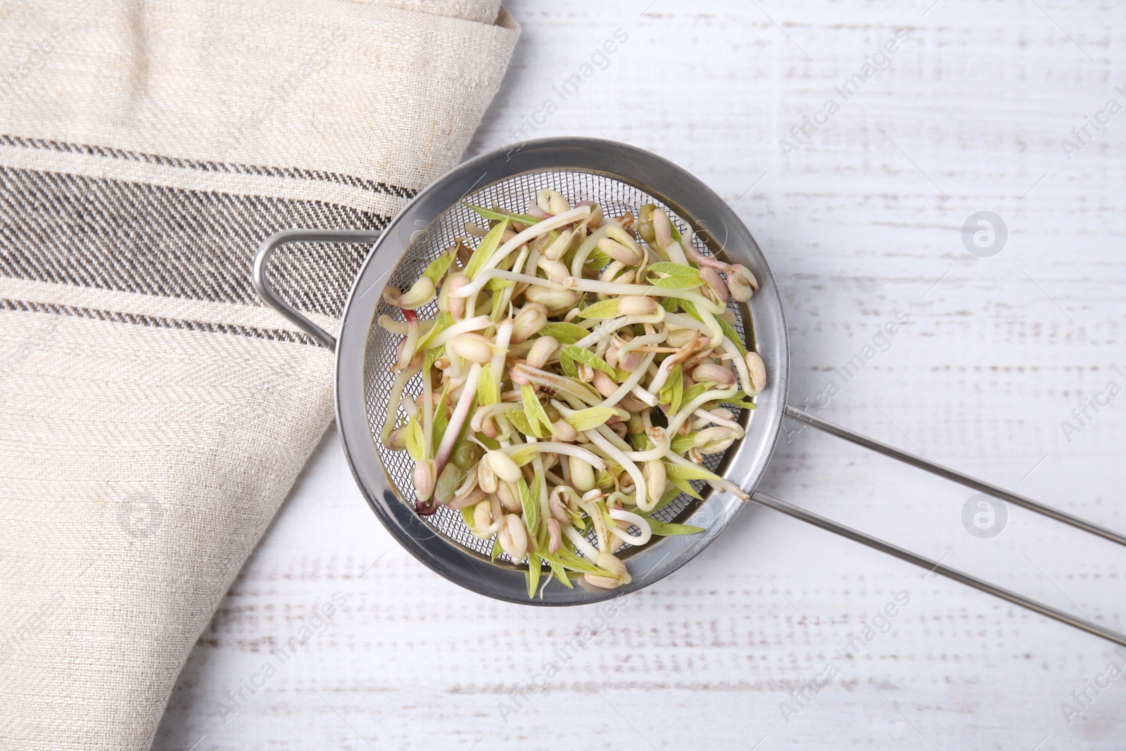 Photo of Mung bean sprouts in strainer and kitchen towel on white wooden table, top view