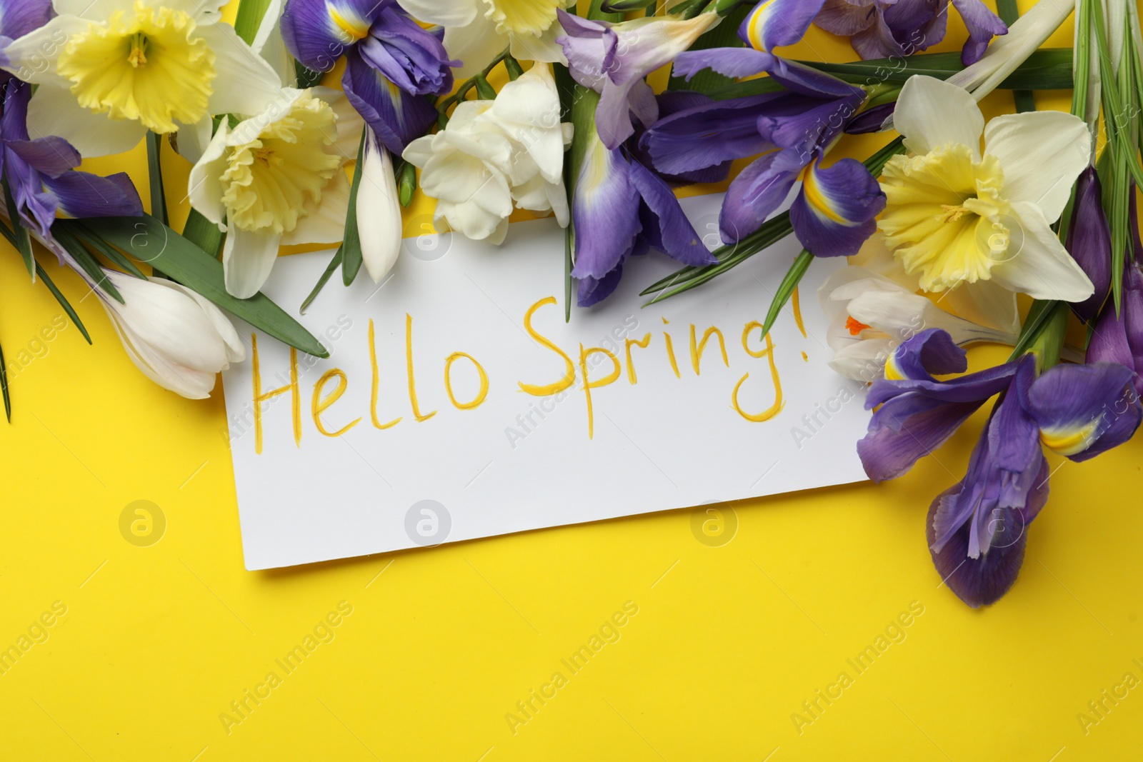 Photo of Card with words HELLO SPRING and fresh flowers on yellow background, flat lay