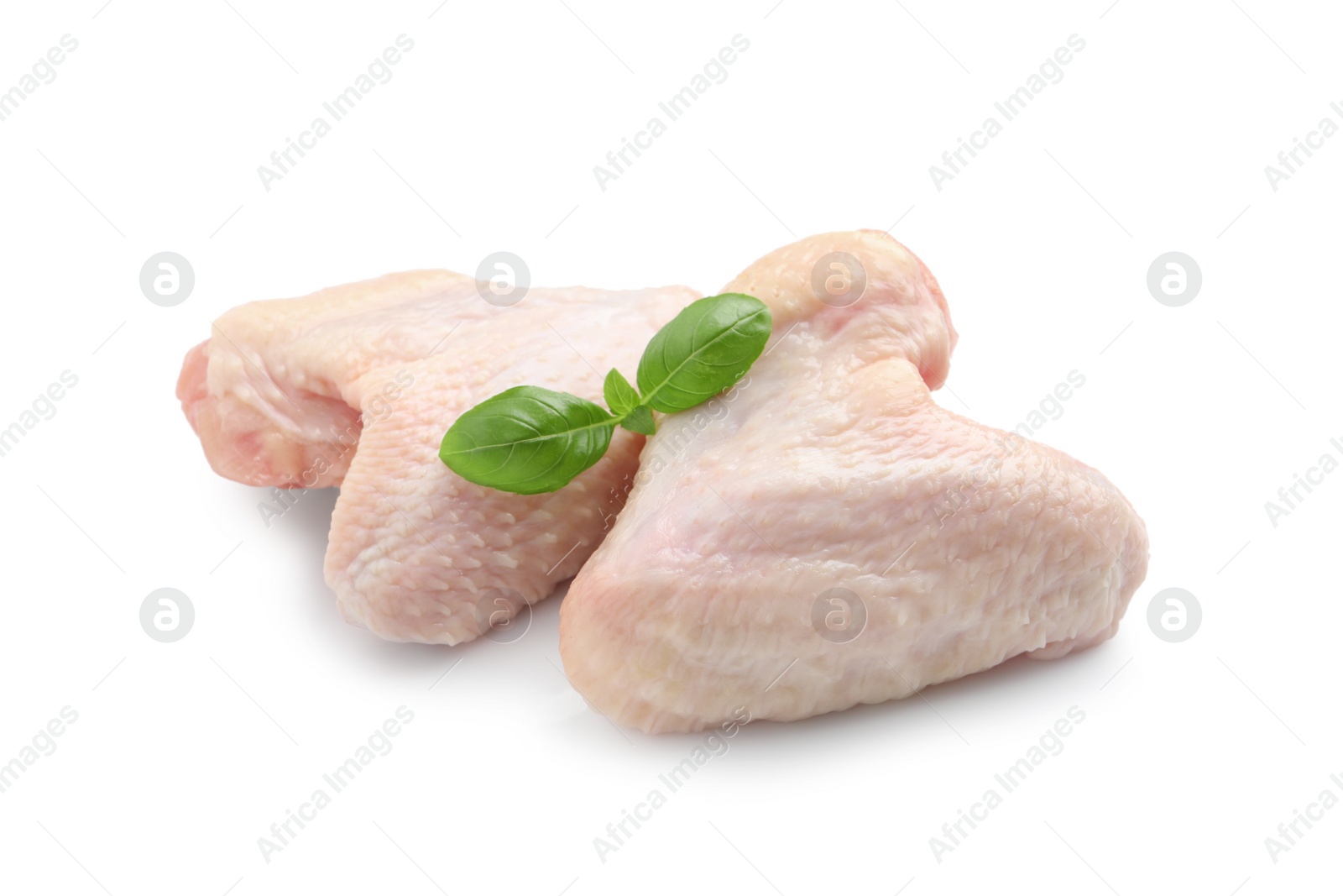 Photo of Raw chicken wings with basil on white background