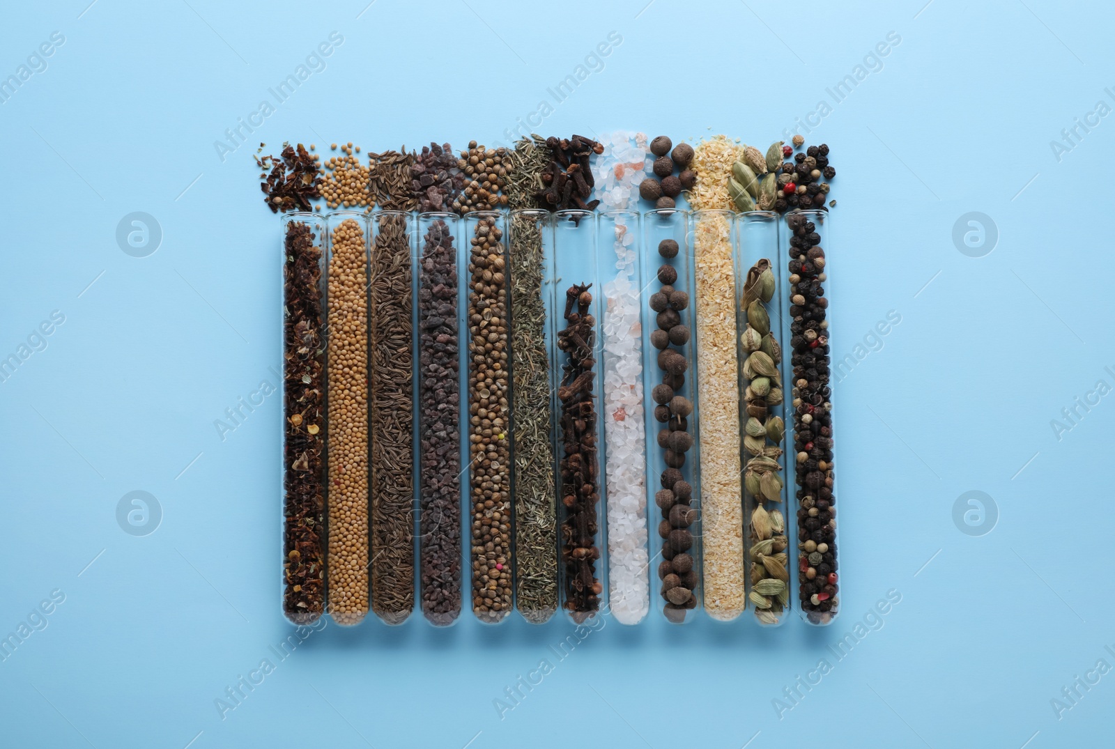 Photo of Glass tubes with different spices on light blue background, flat lay