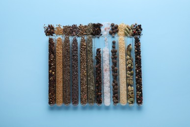 Glass tubes with different spices on light blue background, flat lay