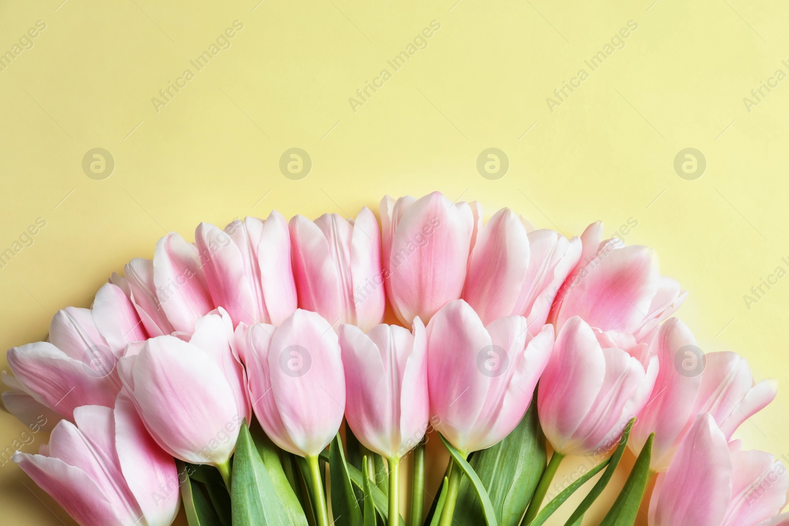 Photo of Beautiful composition with tulips for Mother's Day on color background