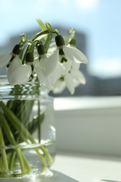 Photo of Beautiful snowdrop flowers in glass jar on windowsill. Space for text