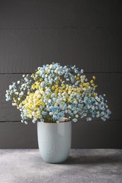 Photo of Beautiful dyed gypsophila flowers in vase on light grey table