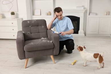 Photo of Pet shedding. Man with lint roller removing dog's hair from armchair at home