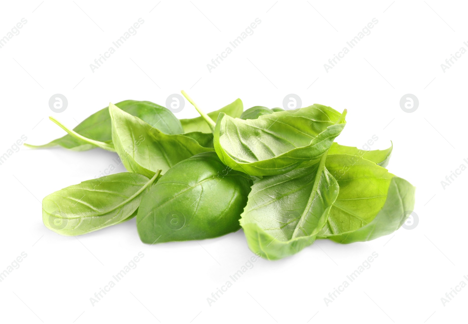 Photo of Pile of fresh basil leaves isolated on white