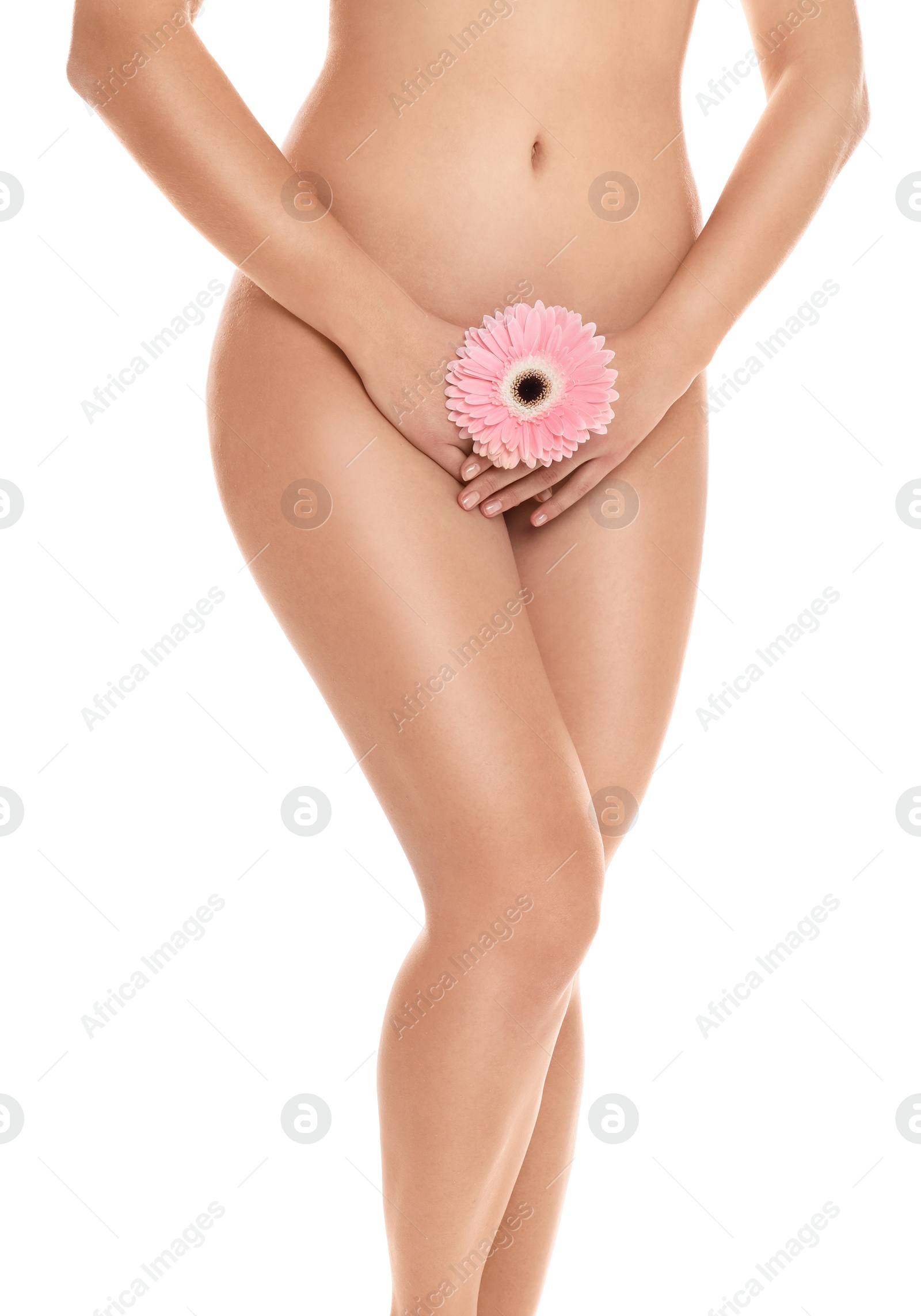 Photo of Woman with gerbera showing smooth skin on white background, closeup. Brazilian bikini epilation