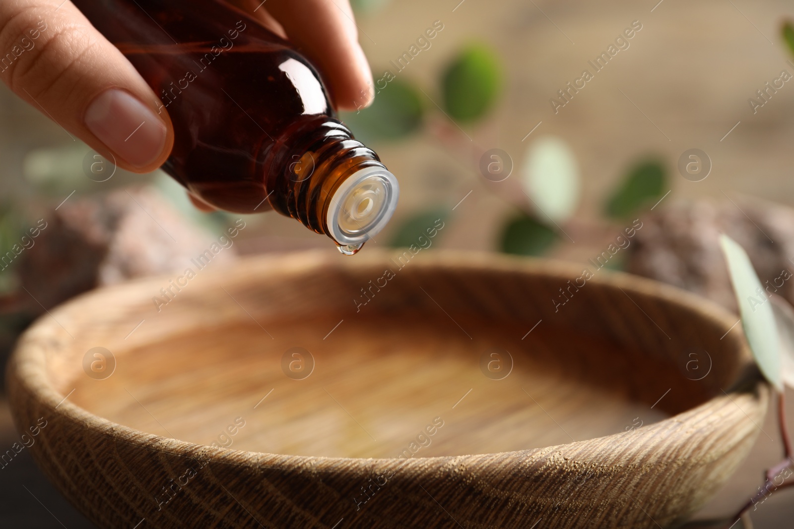 Photo of Woman dripping eucalyptus essential oil from bottle into bowl at wooden table, closeup