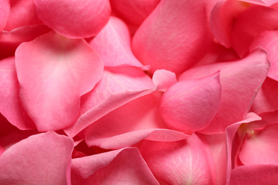 Photo of Fresh pink rose petals as background, closeup