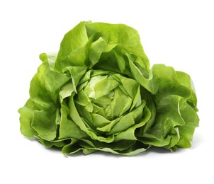 Photo of Fresh green butter lettuce head isolated on white