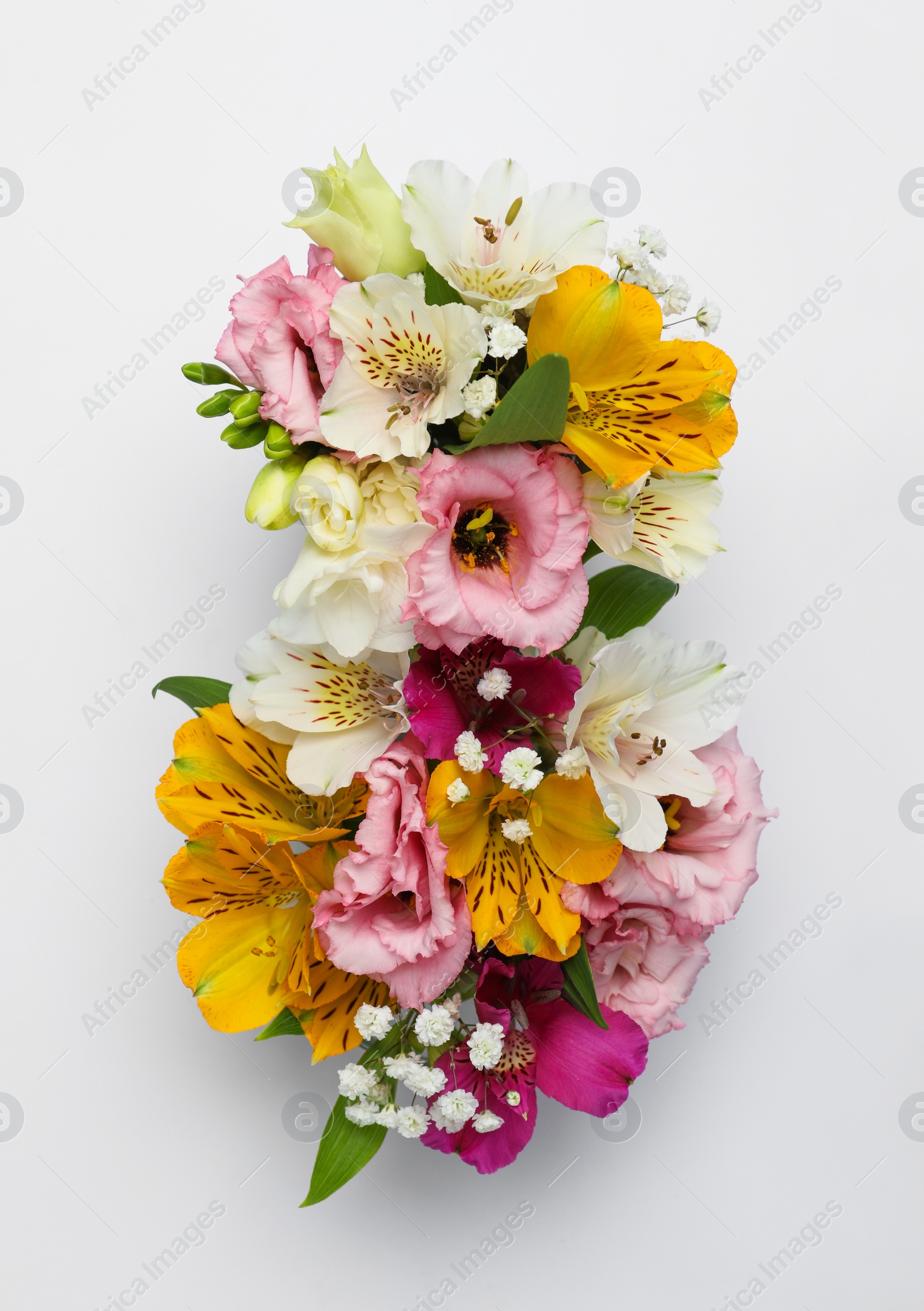 Photo of Number 8 made of beautiful flowers on white background, flat lay. International Women's day