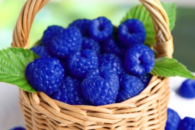 Image of Many fresh blue raspberries in wicker basket on table, closeup