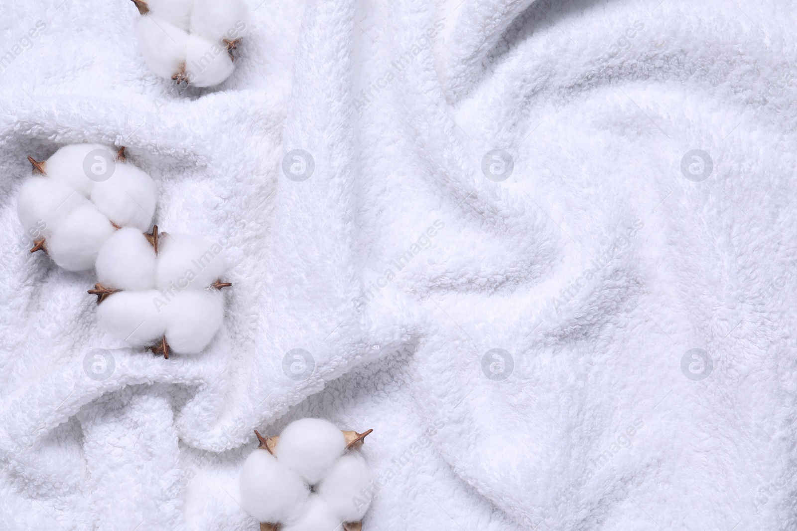 Photo of Fluffy cotton flowers on white terry towel, top view. Space for text