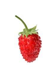 Photo of One ripe wild strawberry isolated on white