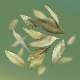 Image of Dry bay leaves falling on olive color gradient background