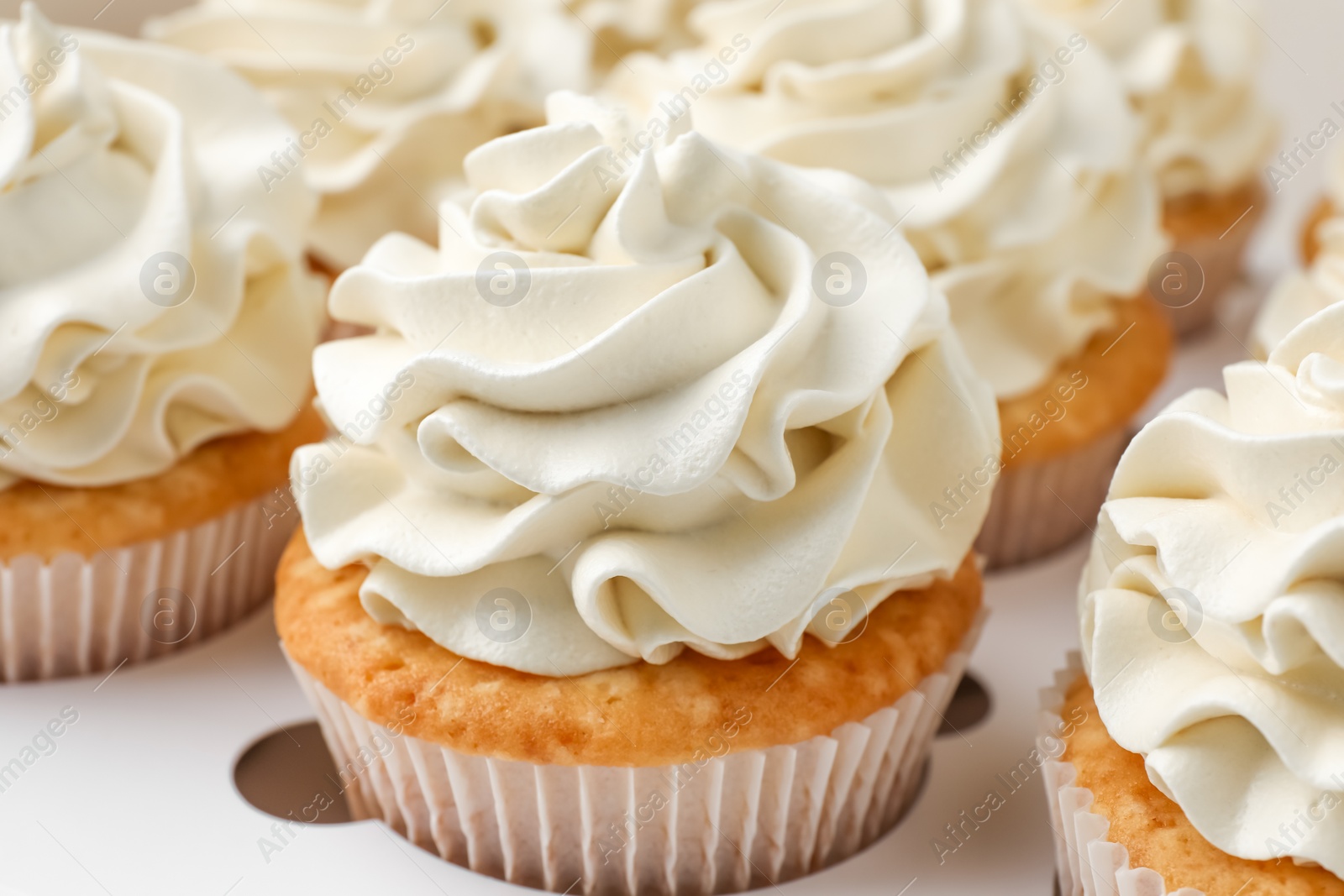 Photo of Tasty cupcakes with vanilla cream in box, closeup