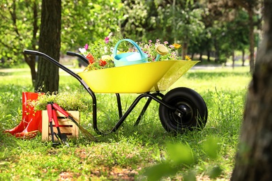 Photo of Wheelbarrow with gardening tools and flowers on grass outside