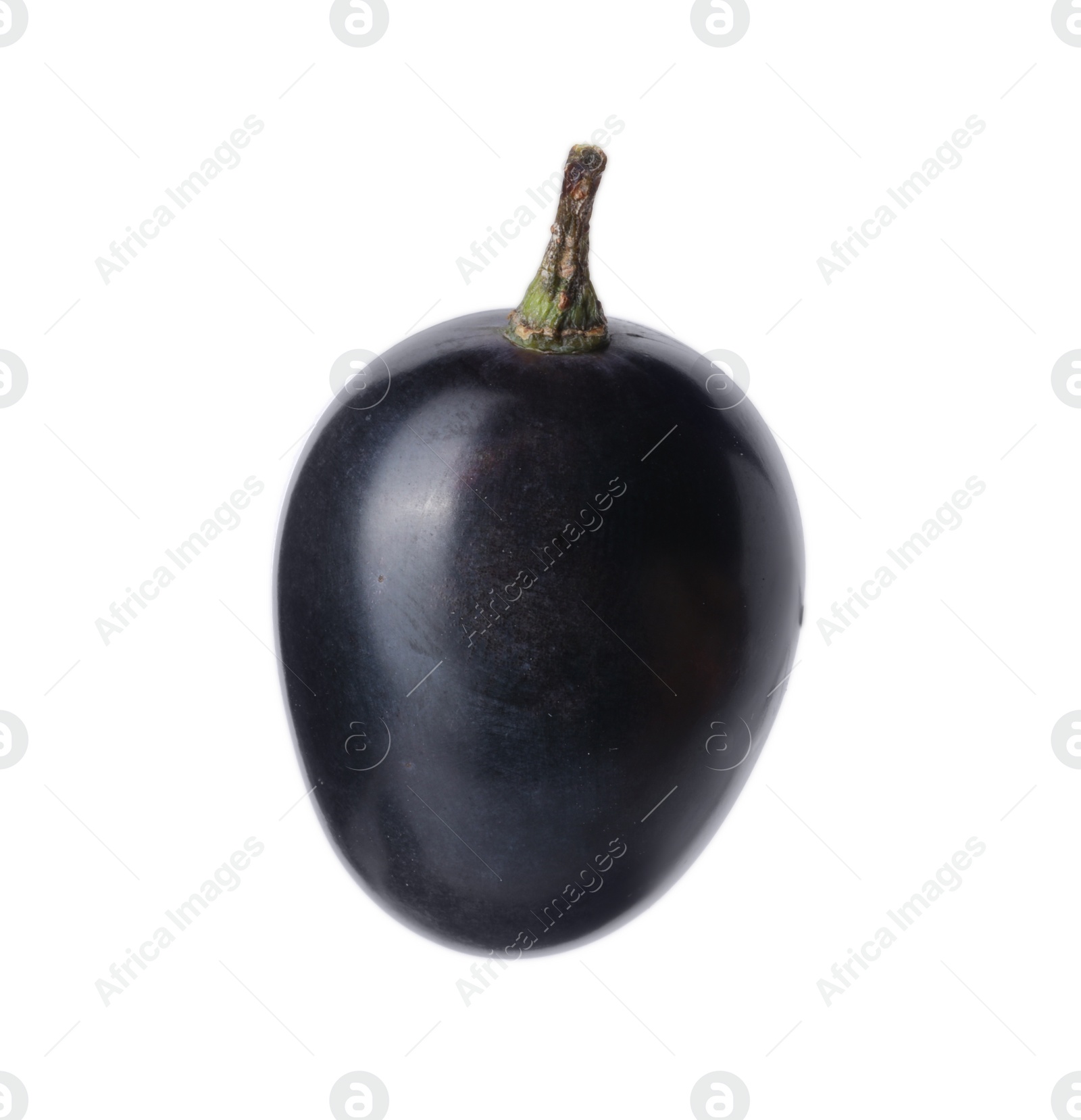 Photo of One ripe dark blue grape isolated on white