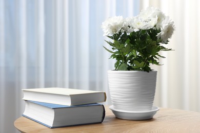 Photo of Beautiful chrysanthemum flowers in pot and books on wooden table indoors