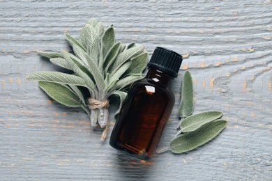 Photo of Bottle of essential sage oil, twigs, leaves on light grey wooden table, flat lay