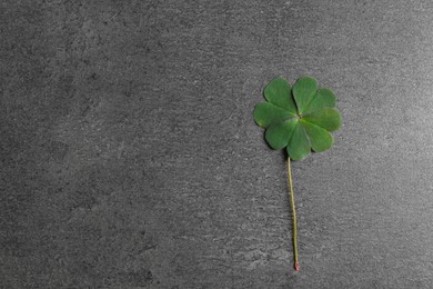 Photo of Green four leaf clover on grey table, top view. Space for text