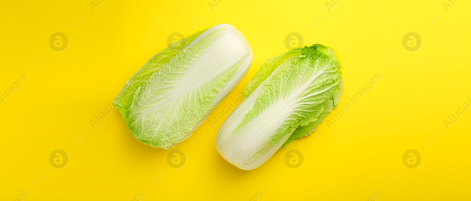 Image of Fresh ripe Chinese cabbages on yellow background, top view. Banner design